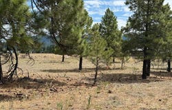 0 Thistle Loop, Chama, NM 87520
