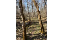 0 Pleasant Grove Road, Corinth, KY 41010