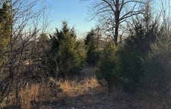 Hwy 62/36, Williford, AR 72482