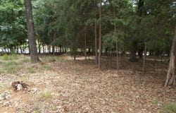 3533 Lake Ridge Drive, Gainesville, GA 30506