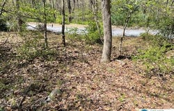23 Lot Hemlock Road, KUNKLETOWN, PA 18058