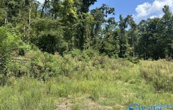930 Dug Hill Road, Brownsboro, AL 35741