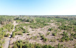 FM 770, Kountze, TX 77625