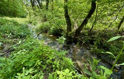 47/Ac Tbd Enoch Rd, Eidson, TN 37731