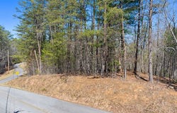 Lot 41 Tomahawk Lane, Mineral Bluff, GA 30559