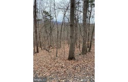 60 OLD OREGON Road, FRONT ROYAL, VA 22630