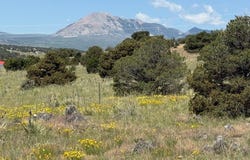 Chickasaw Drive, Walsenburg, CO 81089