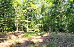 3540 W Hickory Creek Court, Martinsville, IN 46151
