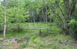 763 Sloantown Road, Duffield, VA 24244