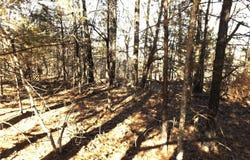 Lot 2 Iroquois  DR, Cherokee Village, AR 72529