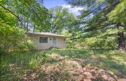 2456 Woodland Lake Dr, Bitely, MI 49309