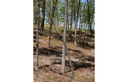 Lot #6 Lake Top Lane, Ellijay, GA 30540