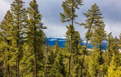 1243 Tobacco Valley View Road, Eureka, MT 59917