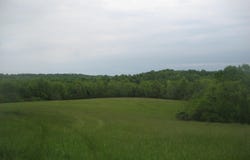005 Buckler Lane, Olive Hill, KY 41164