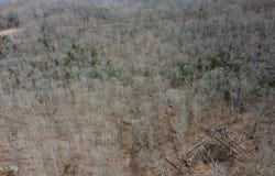 Burton Rd, Sparta, TN 38583