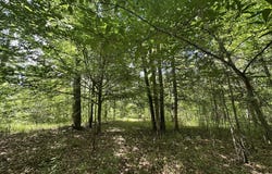 Lot 11 South Pointe Drive, Tignall, GA 30668