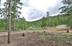 1921 Osage Trl, Red Feather Lakes, CO 80545
