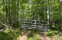 13384 Sorenson Lake Road, Merrifield, MN 56465