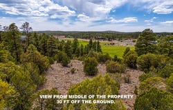 520 S Creekside Drive, Show Low, AZ 85901