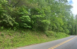 0 Cranberry Creek Road, Laurel Springs, NC 28644
