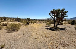 17837 Kitmit Drive, Dolan Springs, AZ 86441