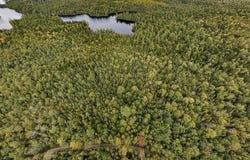 Lot 11-1 Carry Ridge Road, Northfield, ME 04686