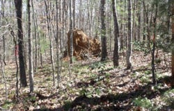 391 Ridge Road, Lancing, TN 37770