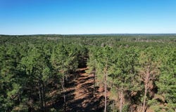 Tbd-a Hwy 84, Mount Enterprise, TX 75681
