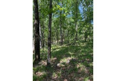 00 County Road 83, McCarley, MS 38943