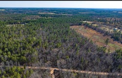 Lot 14 Bluffwood Road, Wagener, SC 29164