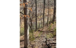 27 TRAILS END LANE, ALEXANDER CITY, AL 35010