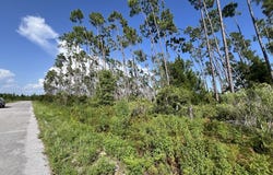 00 E Marsh Line Rd, Wewahitchka, FL 32465