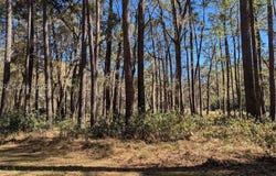30 Volunteers Ridge, Daufuskie Island, SC 29915