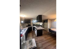 207 Cloverdale Dr, Theodosia, MO 65761