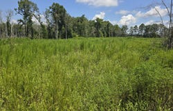 000 Gardner Road, Grady, AL 36036