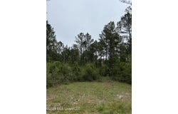 Hwy 49 lot: 1, Brooklyn, MS 39425