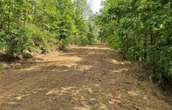 Smith Road, Oneonta, AL 35121