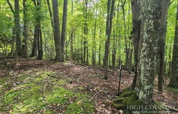 103 Spicewood Lane, Beech Mountain, NC 28604