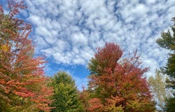 2406 Beech Dr, Kawkawlin, MI 48631, Kawkawlin, MI 48631