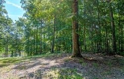 Birdsong Rd lot: 22, Ebony, VA 23845