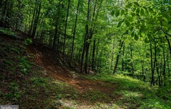 0 HELMS RD, STANLEY, VA 22851
