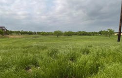 926 Old Oran Road, Perrin, TX 76082