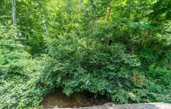 Baroid Road, Magnet Cove, AR 72104