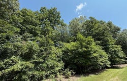 0 Sec 5-8N-1E, Ramsey, IL 62080