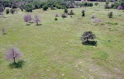 1630 Moore Road, Cleburne, TX 76031