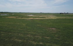 260th, Bridgewater, SD 57319