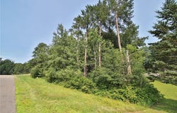Tdb Paper Birch Drive, Baxter, MN 56425