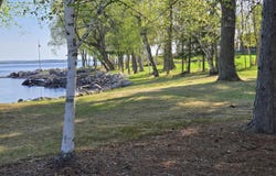 9980-Lot 4 N Cedar Ln, Kabetogama, MN 56669