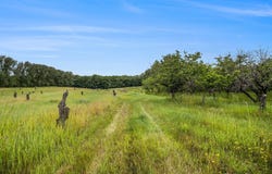 6.24 Acres W Tyler Road, Mears, MI 49436