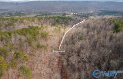 40 Acres Little Wills Valley Road, Attalla, AL 35954